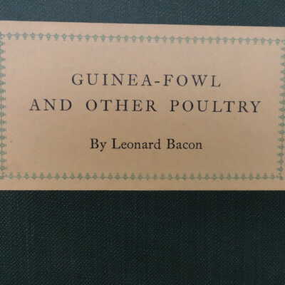 Guinea-Fowl and Other Poultry (PS3503.A196 G8 1927)