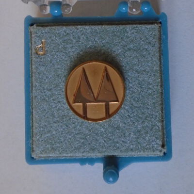 Lapel Pin