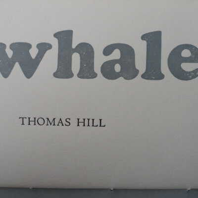 Whales