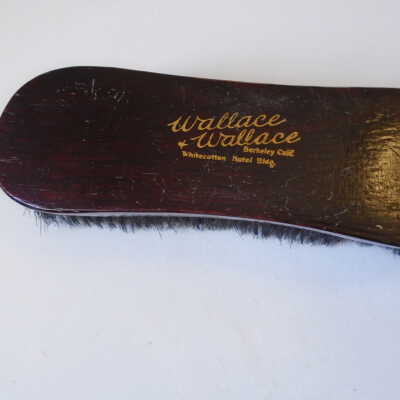 Shoe Brush