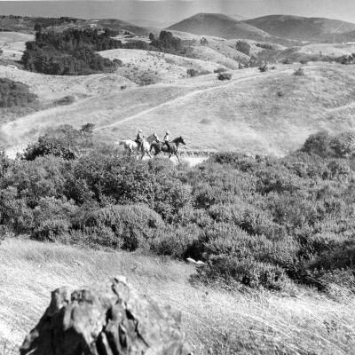 Tilden Park