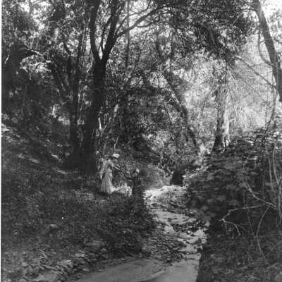 Strawberry Creek