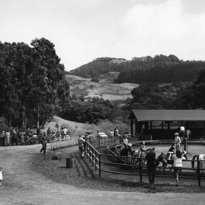 Tilden Park