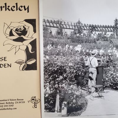 Materials on the Rose Garden