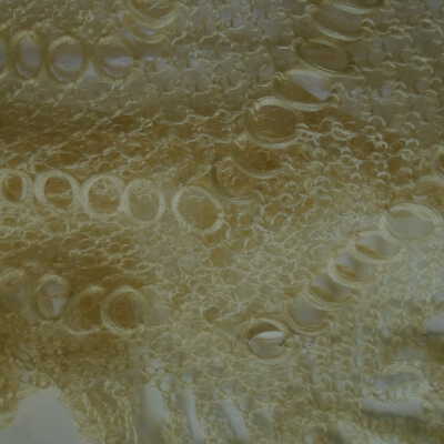detail