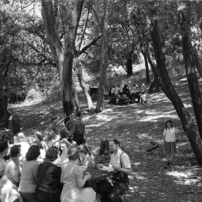Tilden Park