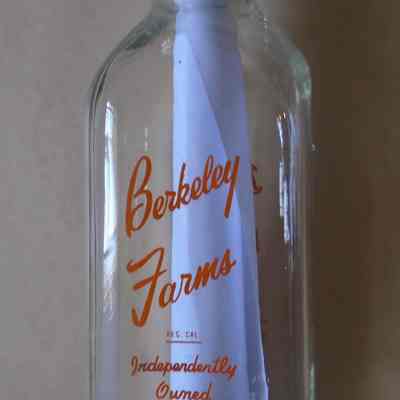 Milk Bottle