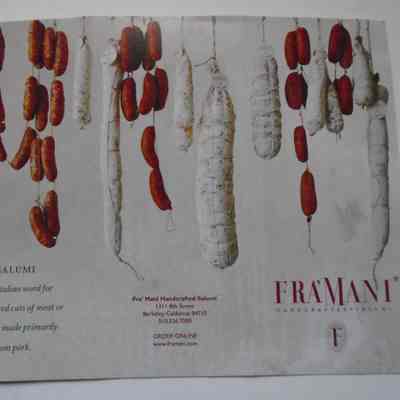 Advertising Brochure