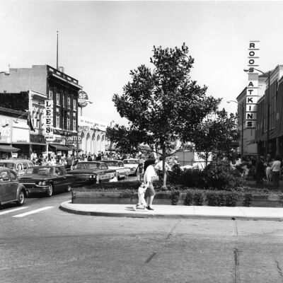 Shattuck Avenue