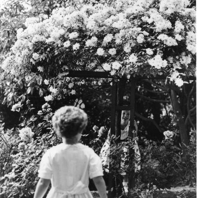 Rose Garden
