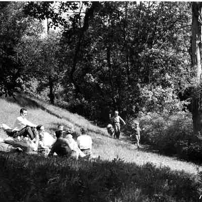 A group has a picnic in a park