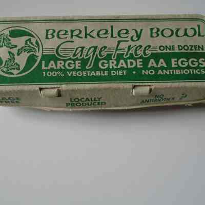 Egg Carton