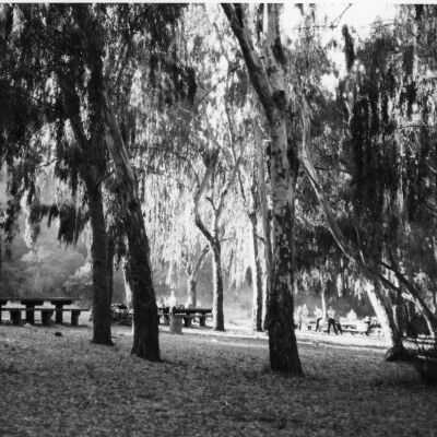 Tilden Park