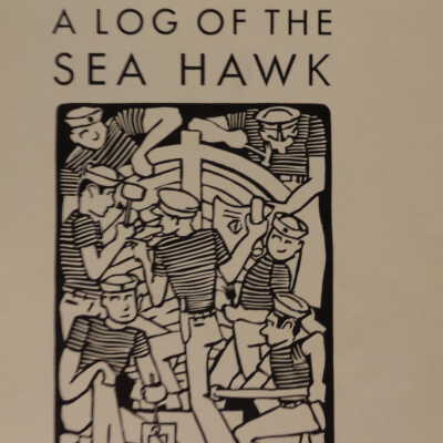 Log of the Sea Hawk