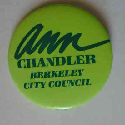 Campaign Button