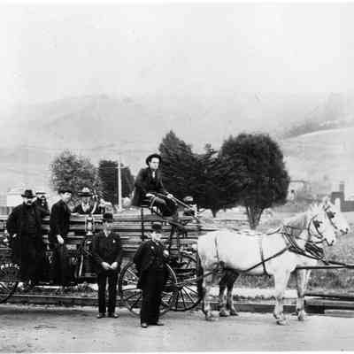 Five ladder wagon