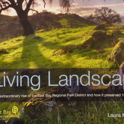 Living landscape