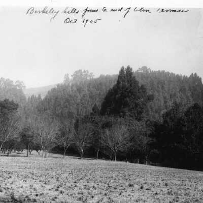 Berkeley Hills from Elm Terrace