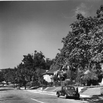 Belrose Avenue