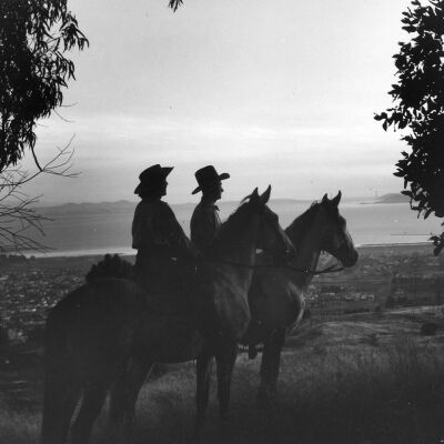 Tilden Park