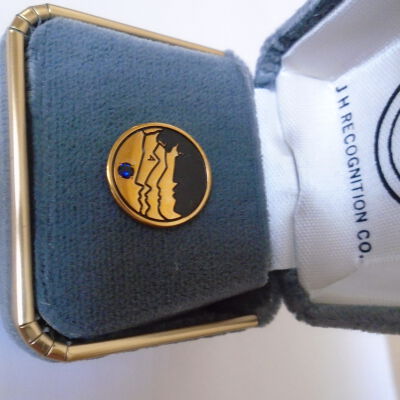 Occupational Lapel Pin