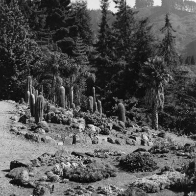University of California Botanical Garden