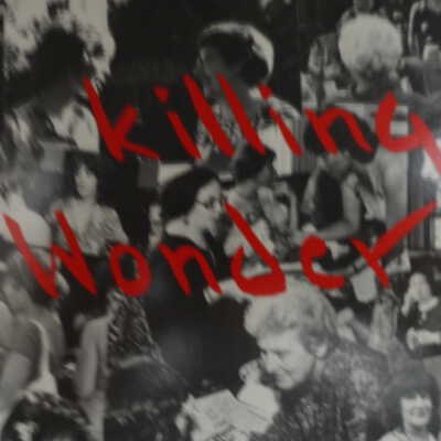 Killing wonder: a mystery novel