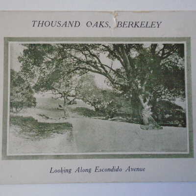 Advertising Card