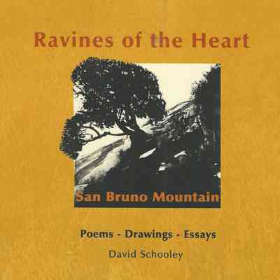 Ravines of the Heart