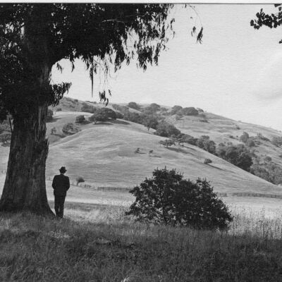 Tilden Park