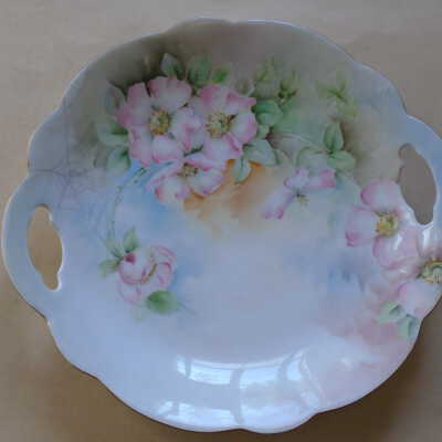 Dish