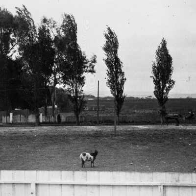 Farm, Farm House