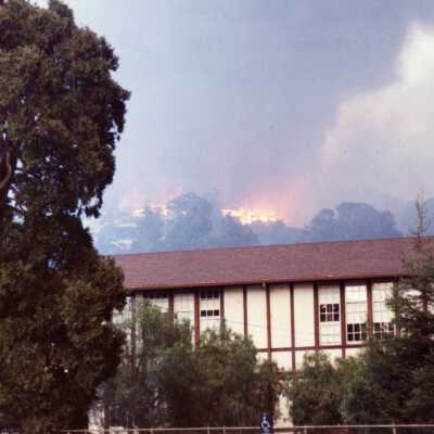 1991 Oakland Hills Fire