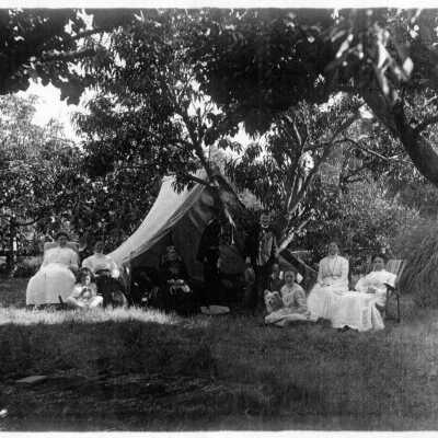 Picnic in backyard