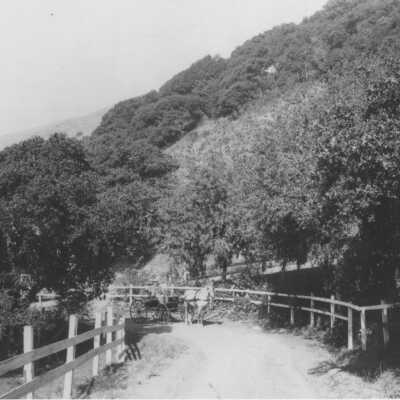 Scotehler in wagon