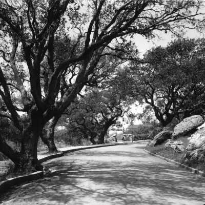 Lovers Lane, Yosemite Road