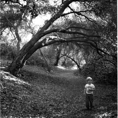 Codornices Park