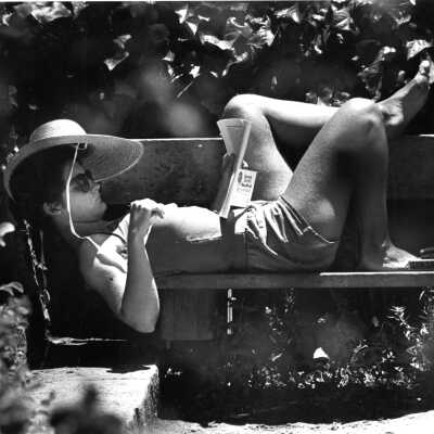 Berkeley Rose Garden - Jennifer McNulty