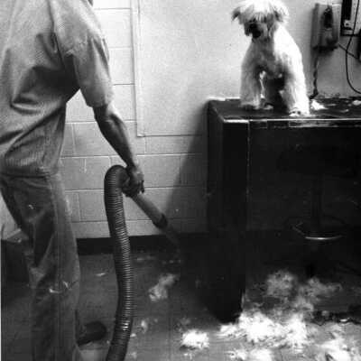 Mike Anthony vacuums doghair while client waits.