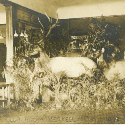 Elks, Club Room Berkeley 1002