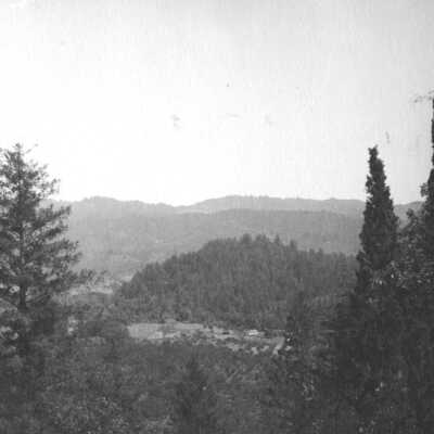 View of wooded Berkeley Hills