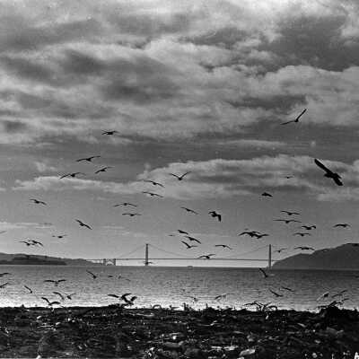 Tidelands, w to Golden Gate