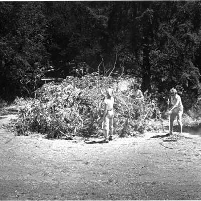 Codornices Park - Clean Up