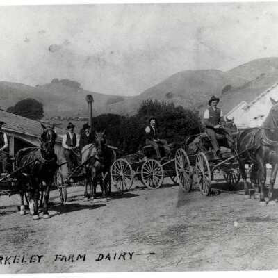 Farm Scene - Berkeley Farm Creamery
