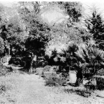 A Nook in the Grounds