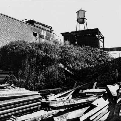 Shellmound after excavation