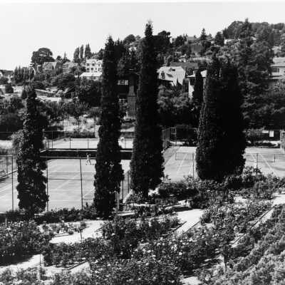 Berkeley Rose Garden
