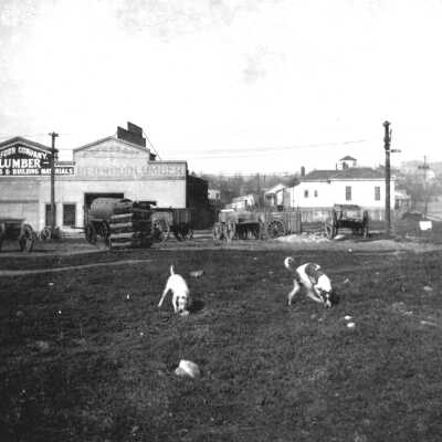 Field, dogs, F.W. Foss Lumber