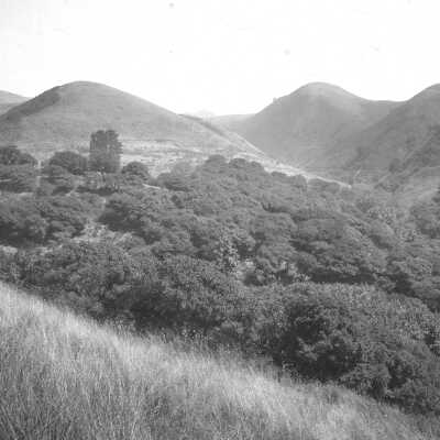 Wildcat Canyon,