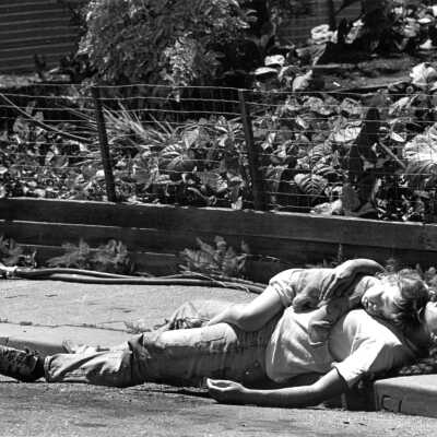 Vajra and Laura Napping in the Sun